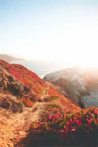 落雨落精品全集