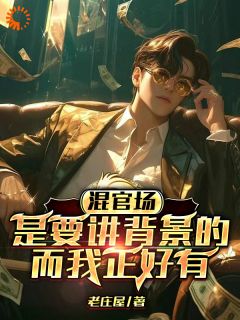 混官场是要讲背景的,而我正好有